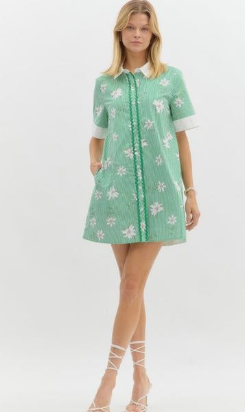 Evelyn Stripe Mini Dress - Green