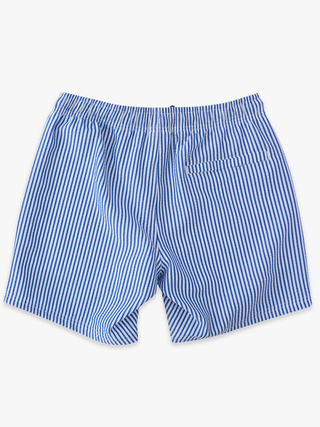 Men's Seersucker Swim Trunks - Blue