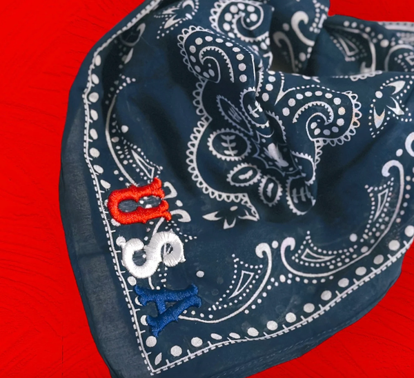 USA Embroidered Bandana