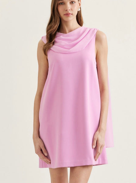 Amelia Mini Dress - Pink