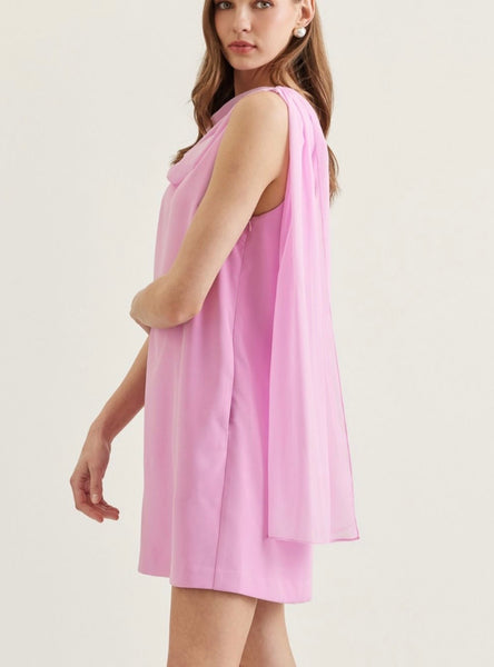 Amelia Mini Dress - Pink