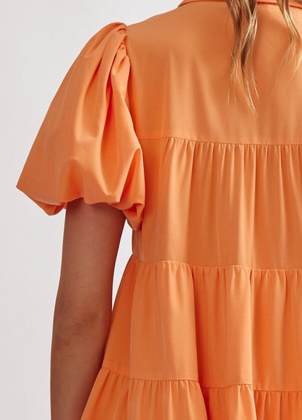 Washington Puff Sleeve Dress - Apricot