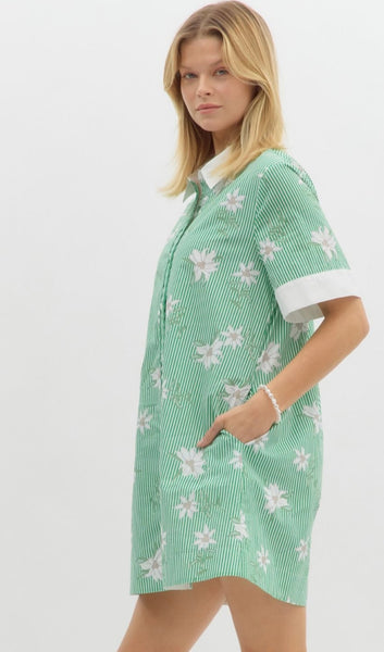 Evelyn Stripe Mini Dress - Green