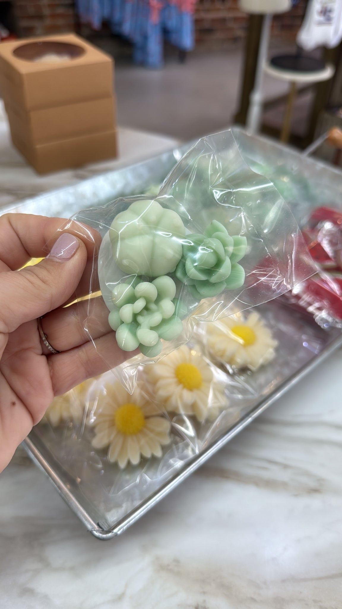 Smelly Goodness - Succulent Wax Melt